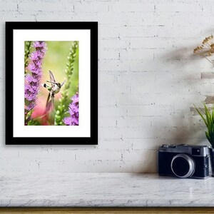 Hummingbird And Flowers Nature Photography Hummingbird Nursery Decor, Fine Art Photography Hummingbird Print, Bird Lover Wall Art Gifts image 3