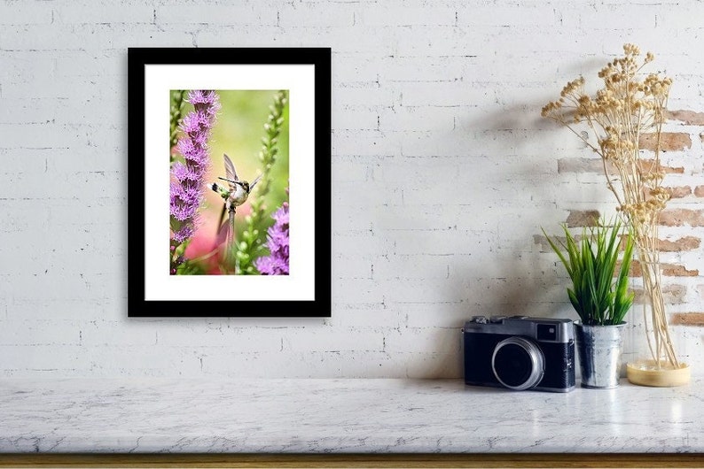 Hummingbird And Flowers Nature Photography Hummingbird Nursery Decor, Fine Art Photography Hummingbird Print, Bird Lover Wall Art Gifts image 3