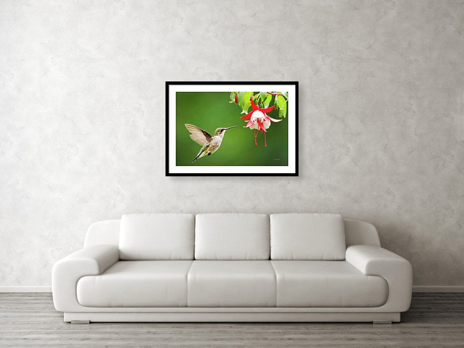 Nature Photography Hummingbird Photo Bird Prints, Fine Art Photography