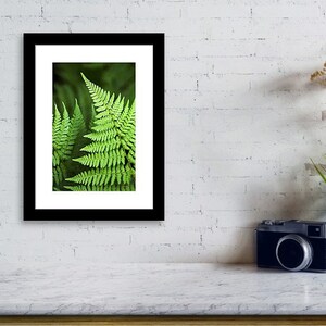 Fern Print Tropical Fern Art Botanical Art Print Green Fern | Etsy