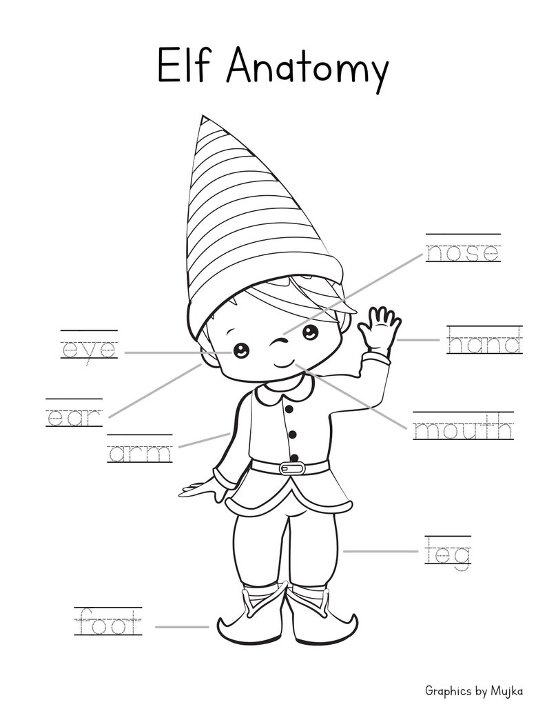 Elf Anatomy Christmas Coloring Page Body Parts Worksheet - Etsy Australia