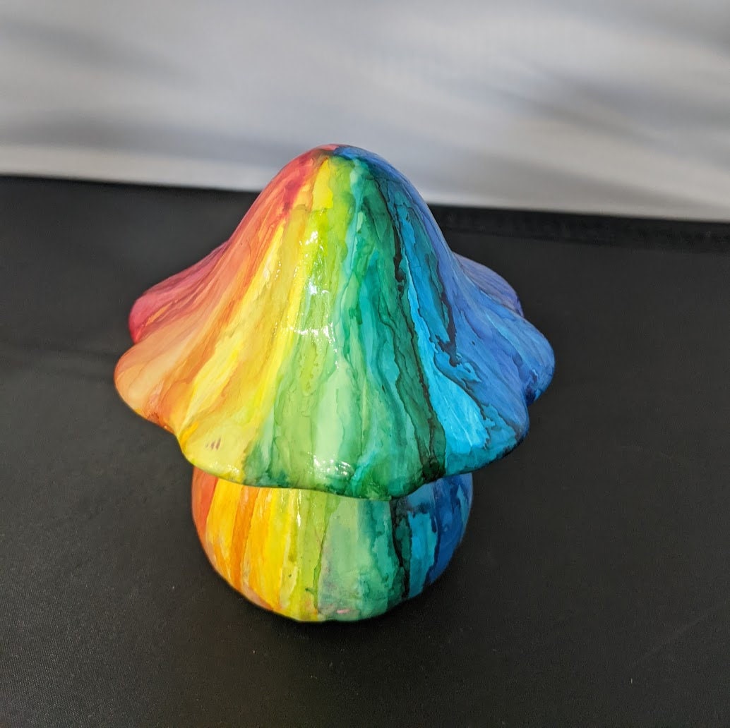 Rainbow Mushroom hand painted Etsy