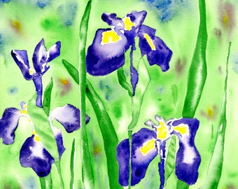 Watercolor print Iris in July