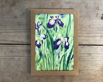 Iris, Alaska, Wildflowers, Kodiak, Watercolor, Art Cards, Blank Card, 5 x 7