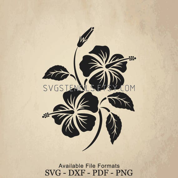 Download Svg Hibiscus Rosa Bouquet Stencil Silhouette Studio Etsy