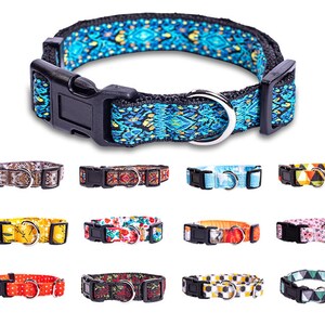 Dog collars for clearance girl dogs