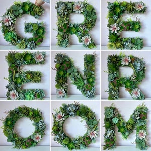 Letras de musgo verde, pared de musgo para oficina, letras de plantas artificiales, decoración con suculentas, decoración con temática botánica o forestal, boda en el bosque