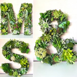 Letras grandes de musgo, arte de parede de musgo, letras de flores para casamento, quarto de bebê de bosque, letras de folhagem botânica, decoração de suculentas artificiais