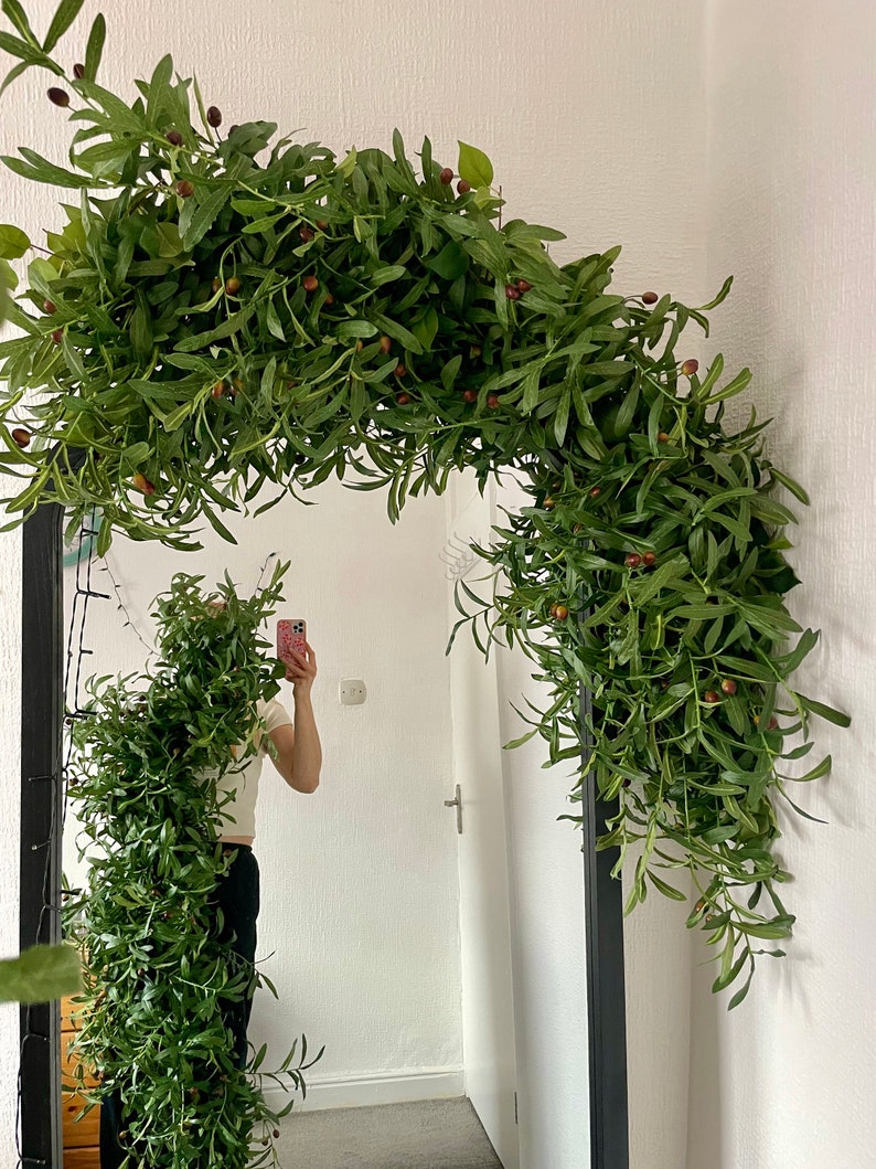 Peut inclure: Une guirlande de branches d'olivier vertes avec de petites olives brunes, drap&eacute; sur un miroir encadr&eacute; noir.