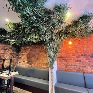 Peut inclure: Un mur en brique avec un canap&eacute; gris et une plante verte suspendue au plafond. La plante est suspendue au plafond et pousse le long du mur. Il y a deux luminaires au plafond.