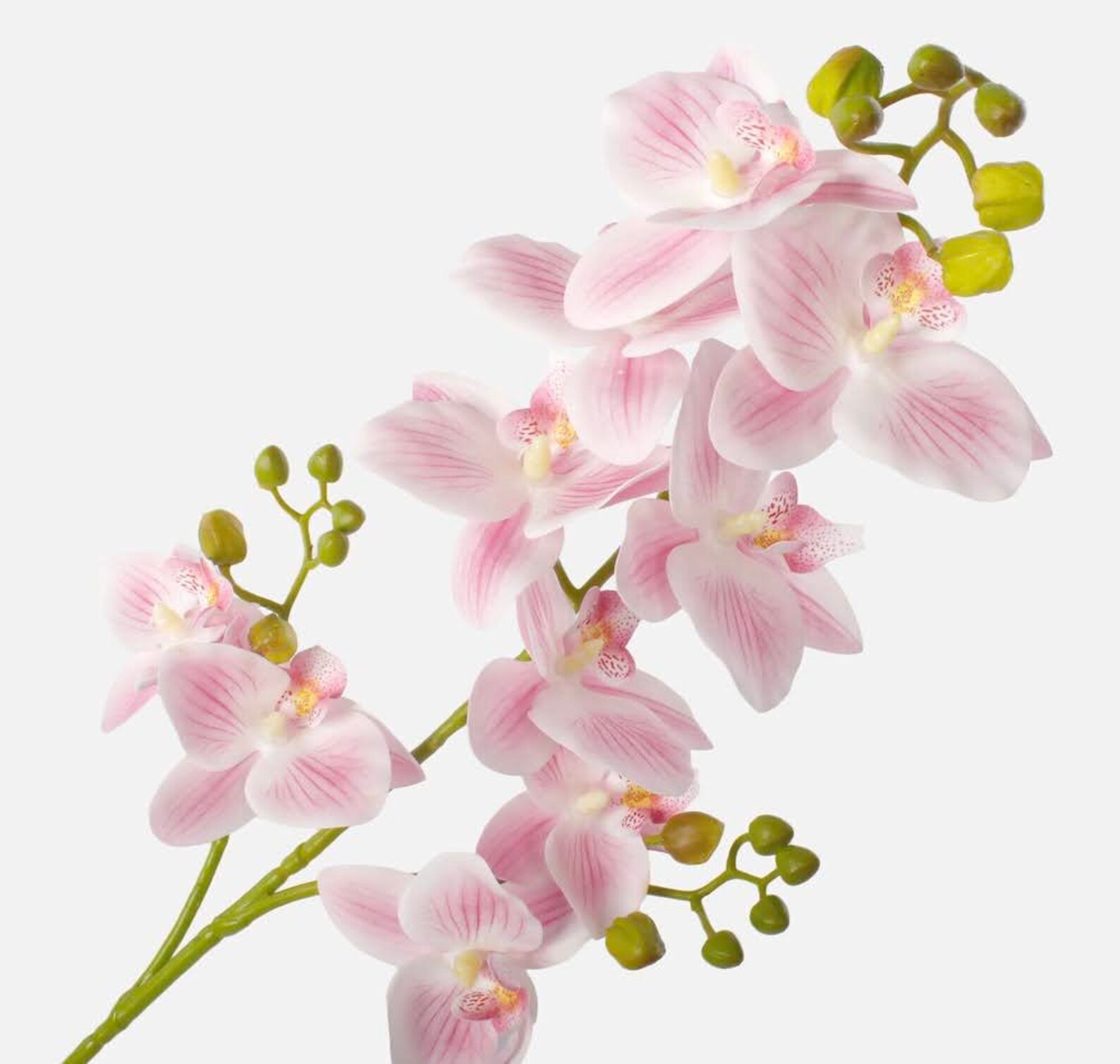 Artificial Real Touch Orchid Stem Wedding Flowers Pink Faux Etsy