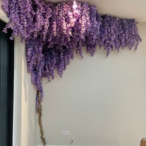 May include: A corner of a room decorated with a long strand of artificial purple wisteria flowers hanging from the ceiling.