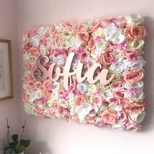 May include: A pink and white floral wall with the name "Sofia" written in rose gold letters.