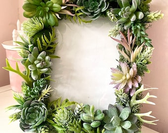 Cornice con muschio e piante grasse: decorazione botanica del bosco