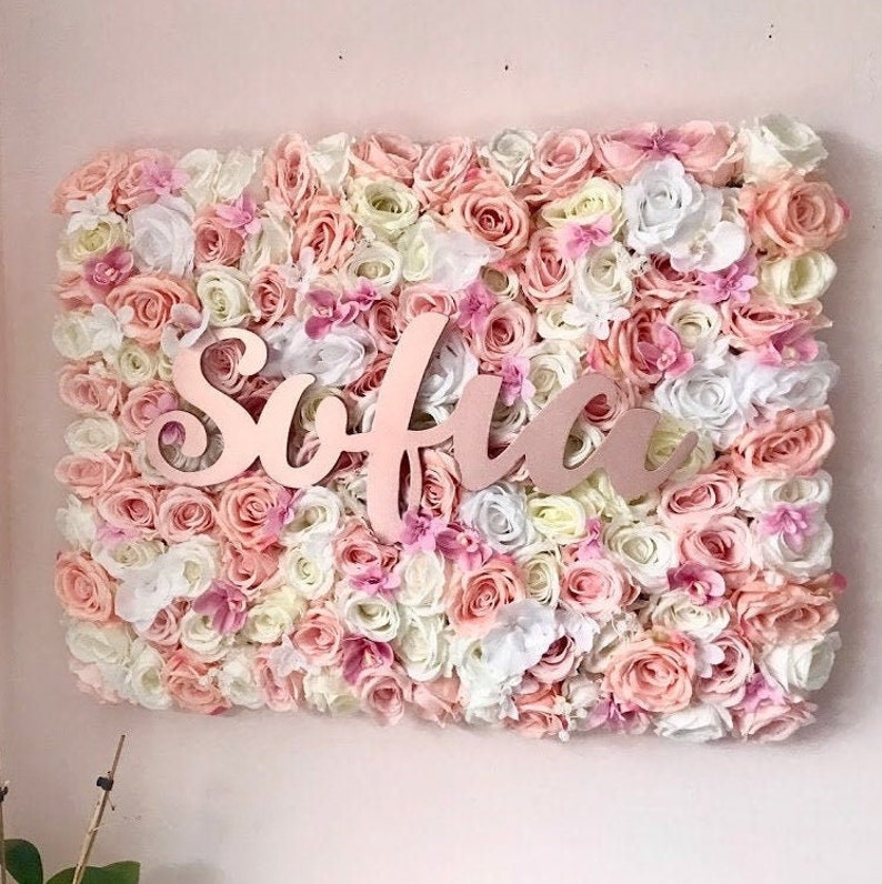 May include: A pink and white flower wall with the name "Sofia" written in pink letters.