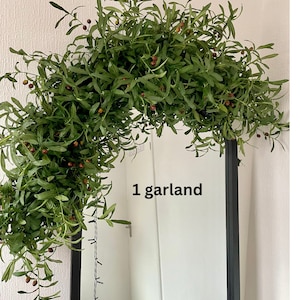 Peut inclure: Une guirlande verte avec de petites baies rouges drap&eacute; sur un cadre de miroir noir. Le texte "1 garland" est &eacute;crit sur le miroir.
