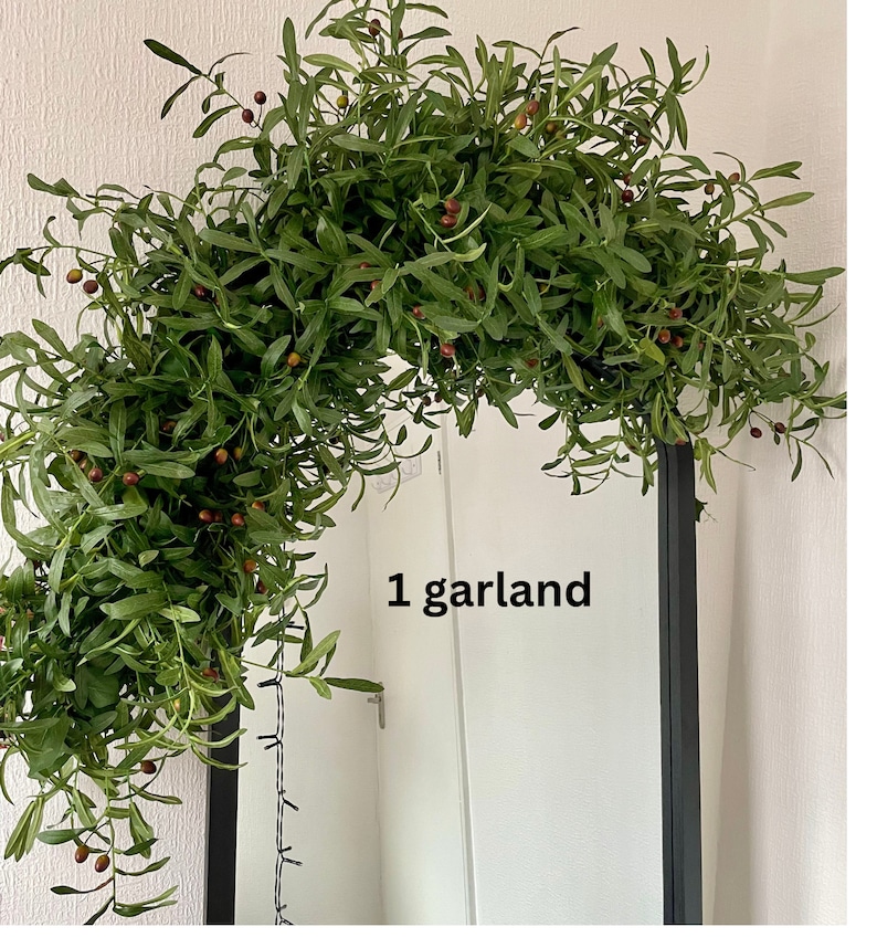 Peut inclure: Une guirlande verte avec de petites baies rouges drap&eacute; sur un cadre de miroir noir. Le texte "1 garland" est &eacute;crit sur le miroir.