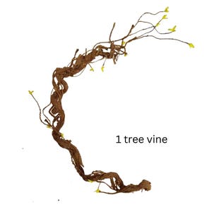 Könnte beinhalten: Ein brauner Baumwein mit kleinen gelben Blüten. Der Wein ist zu einem Kreis geformt. Der Text "1 tree vine" steht unter dem Wein.