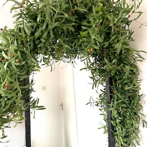 Peut inclure: Un miroir encadr&eacute; noir d&eacute;cor&eacute; d'une guirlande de branches d'olivier vertes avec de petites baies rouges.