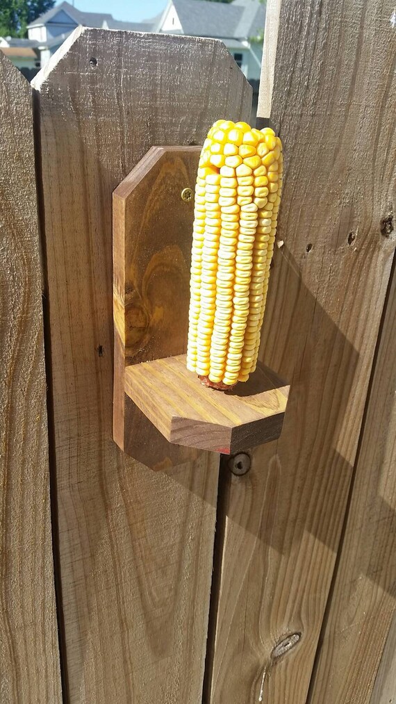 Squirrel Feeder Etsy
