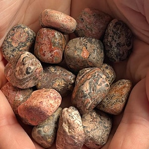 Leopard Skin Jasper Tumbles, Leopard Jasper Crystals, Protection Stone, Strength Crystals