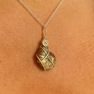 Peut inclure: Un collier argenté avec un pendentif fossile. Le pendentif est un ammonite, un fossile en spirale, enveloppé dans du fil d'argent. La chaîne est fine et se détache sur un fond de couleur chair.