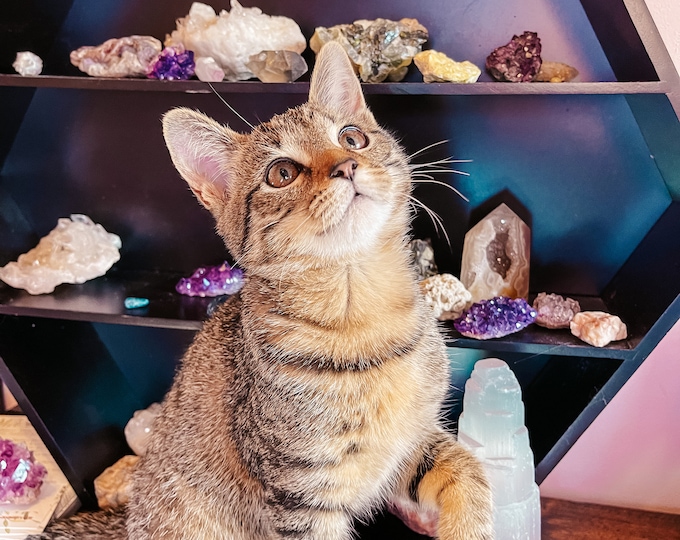 Crystals Chosen By Tuna Cat, Cat Intuitively Picks Your Crystals, Crystals Mystery Box Various Pieces Natural Rocks Minerals & Tumbled