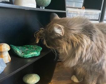 Crystals Chosen By Millie Cat, Cat Intuitively Picks Your Crystals, Crystals Mystery Box Various Pieces Natural Rocks Minerals & Tumbled