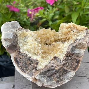 Septarian Dragon Stone Crystal Stone Septarian Decor Grounding Energy Crystal