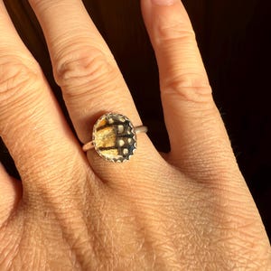 モナークバタフライリング サイズ6、スターリングシルバー リアルバタフライウィングリング