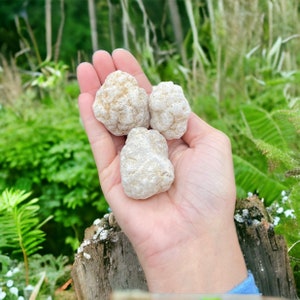 Geode Crystal Break Your Own, DIY Unopened Quartz Geodes, Gift for Children Surprise Mystery Crystals