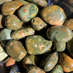 Rhyolite Rainforest Jasper Tumbled Stone Healing Crystals, Crazy Lace Agate Gemstones