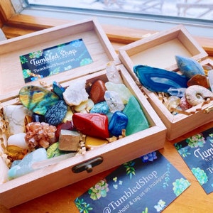 Crystal Box Various Crystals Aligned Personalized Box, Mix of Natural + Tumbled Pieces by Tumbled Shop Crystals