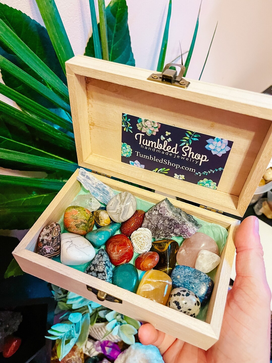 Beginner Crystal Box, Crystal Starter Pack of Various Crystals Aligned ...