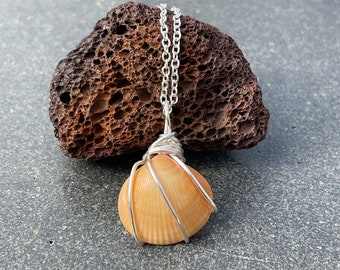 Sea Shell Wire Wrapped Necklace Beach Jewelry