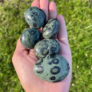 Kambaba Jasper Palm Stone, Healing Polished Gemstone