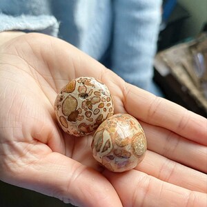 Leopard Skin Jasper Tumbled Stones Healing Crystals, Leopardite Large Tumbled Crystals