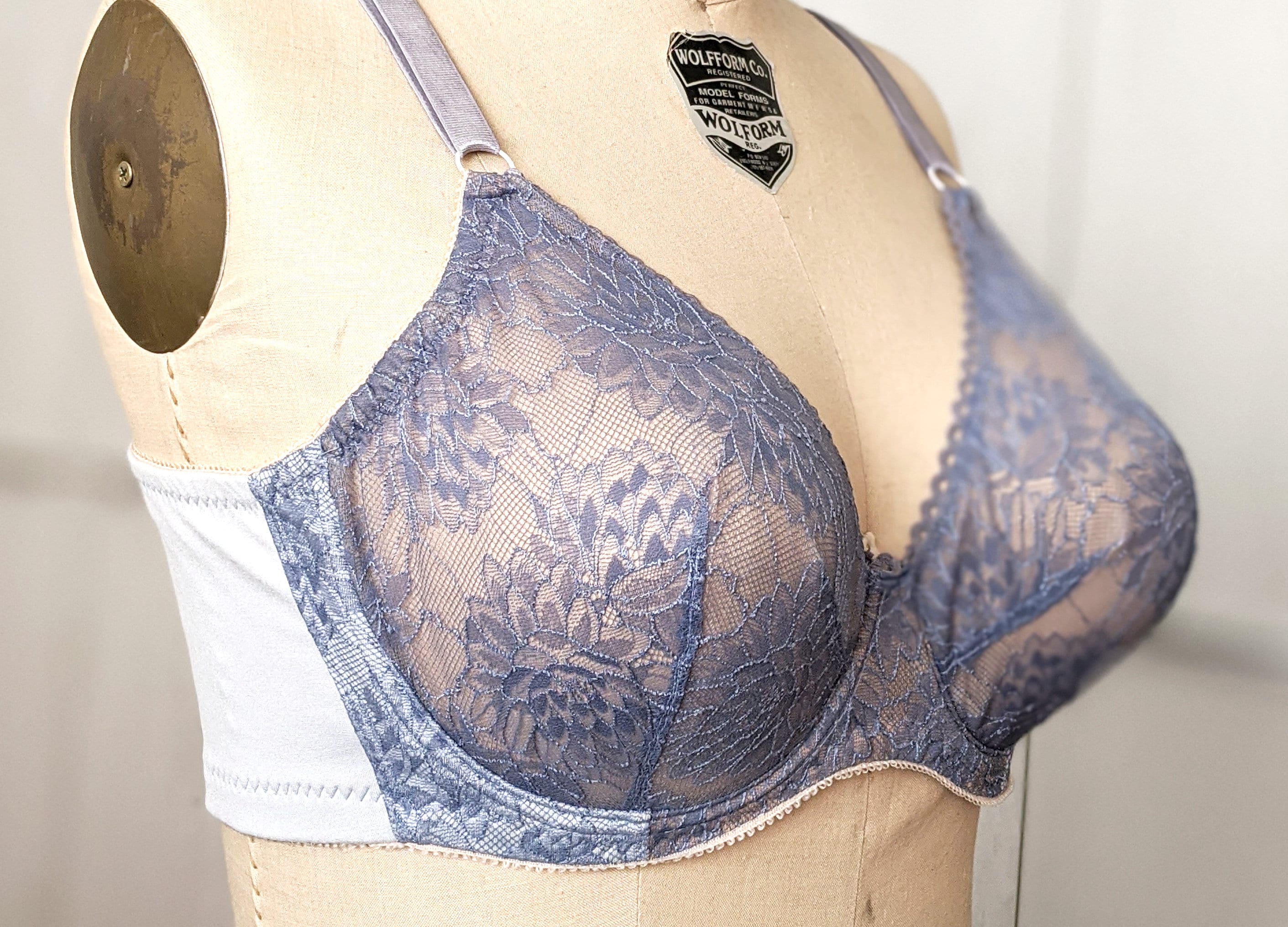 The Lamina Bra Pattern Great for Large Busts 