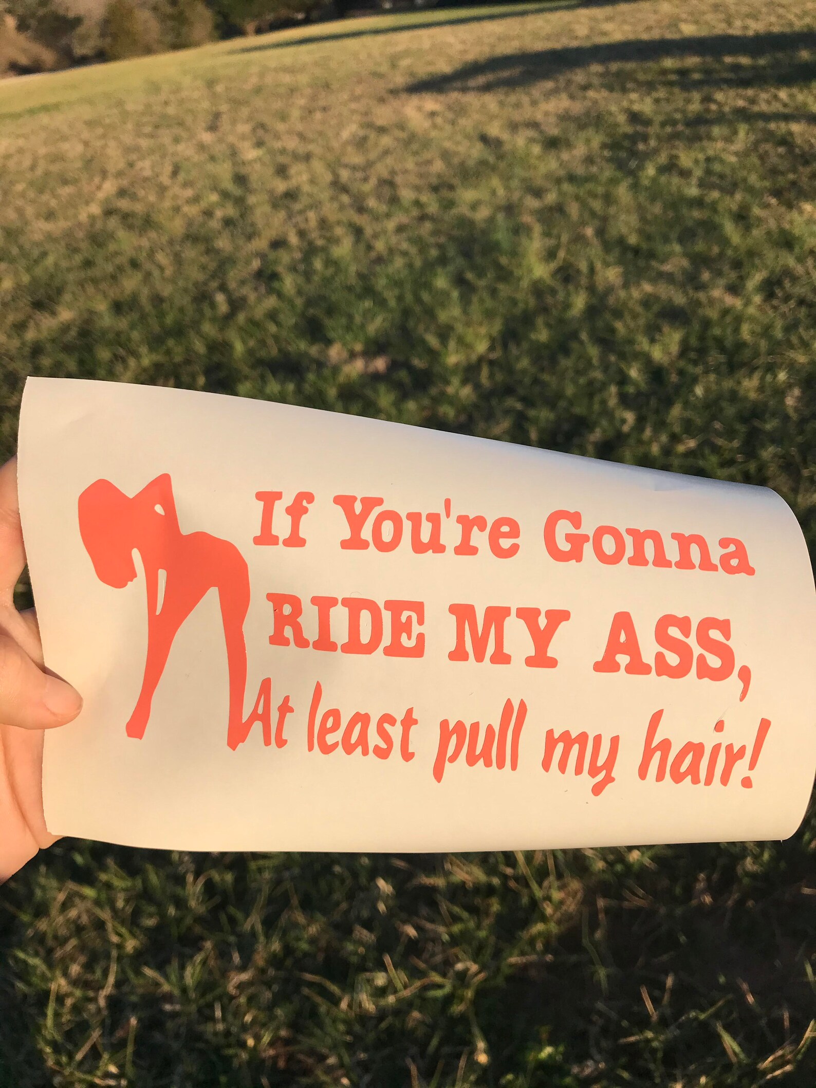 If Youre Gonna Ride My Ass At Least Pull My Hair Car Decal Etsy