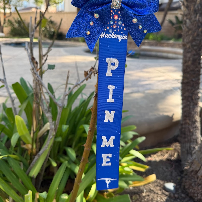 Cheer Gymnastics Pins - Etsy