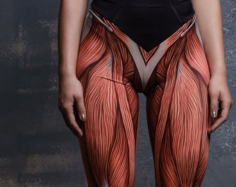 Muskel Leggings mit hoher Taille für Frauen, Workout-Leggings, plus Größe Gym Leggings, hockensichere Leggings, Yogahosen, Anatomie Leggings
