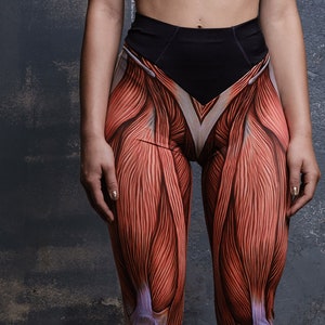 Muscle High Waisted Leggings for Women, workout leggings, plus size gym leggings, squat proof leggings, yoga pants, anatomy leggings