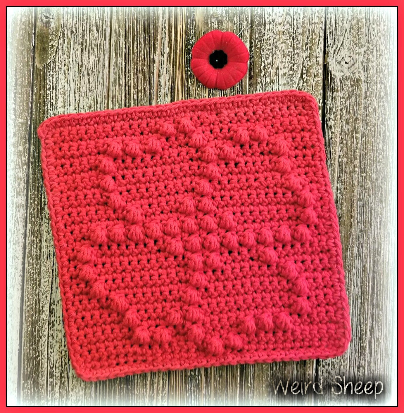 PDF File Only HOME Crocheted Dishcloth Pattern