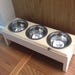 see more listings in the Pet feeder/bowls section