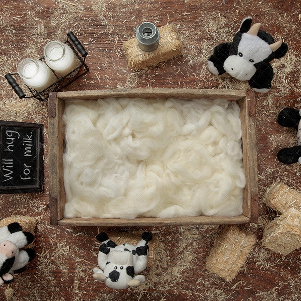 Digital backdrop, background newborn baby girl or boy  cow  animals overhead farm barn  will hug for milk cream fluff