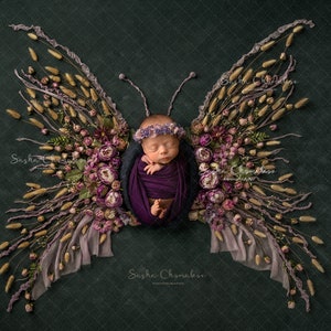 Pode incluir: Um bebê recém-nascido está dormindo pacificamente em um envoltório roxo, cercado por um arranjo floral que se assemelha a uma borboleta. As flores são uma mistura de rosa, roxo e branco, e o bebê está usando uma coroa de flores roxas.