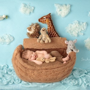 Digital backdrop, background newborn baby boy Noah ark