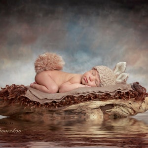 digital backdrop  background newborn baby girl or a boy floating wood fairy tail
