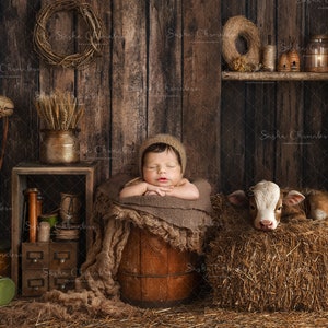Digital backdrop, background newborn baby girl or boy farm , calf , baby cow   , cowboy , barn
