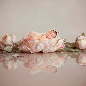 Digital backdrop  background newborn baby girl flower pink fairy tail